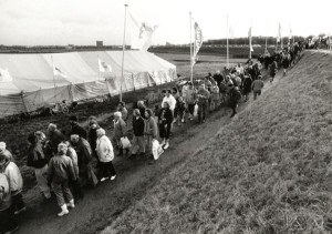 Graph - Volksbos 3 - Stadsarchief Vlaardingen