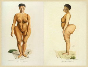 Saartjie Baartman (Afbeelding: Wikipedia)